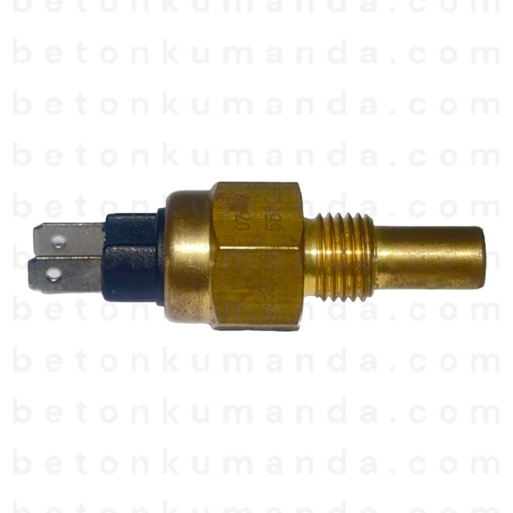 55 Degrees 50.312 Long Temperature Sensor